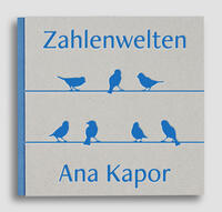 Vorderes Coverbild Ana Kapor Zahlenwelten