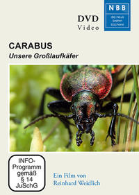 Vorderes Coverbild Carabus