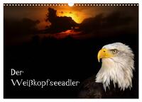 Vorderes Coverbild Der Weißkopfseeadler (Wandkalender 2025 DIN A3 quer), CALVENDO Monatskalender