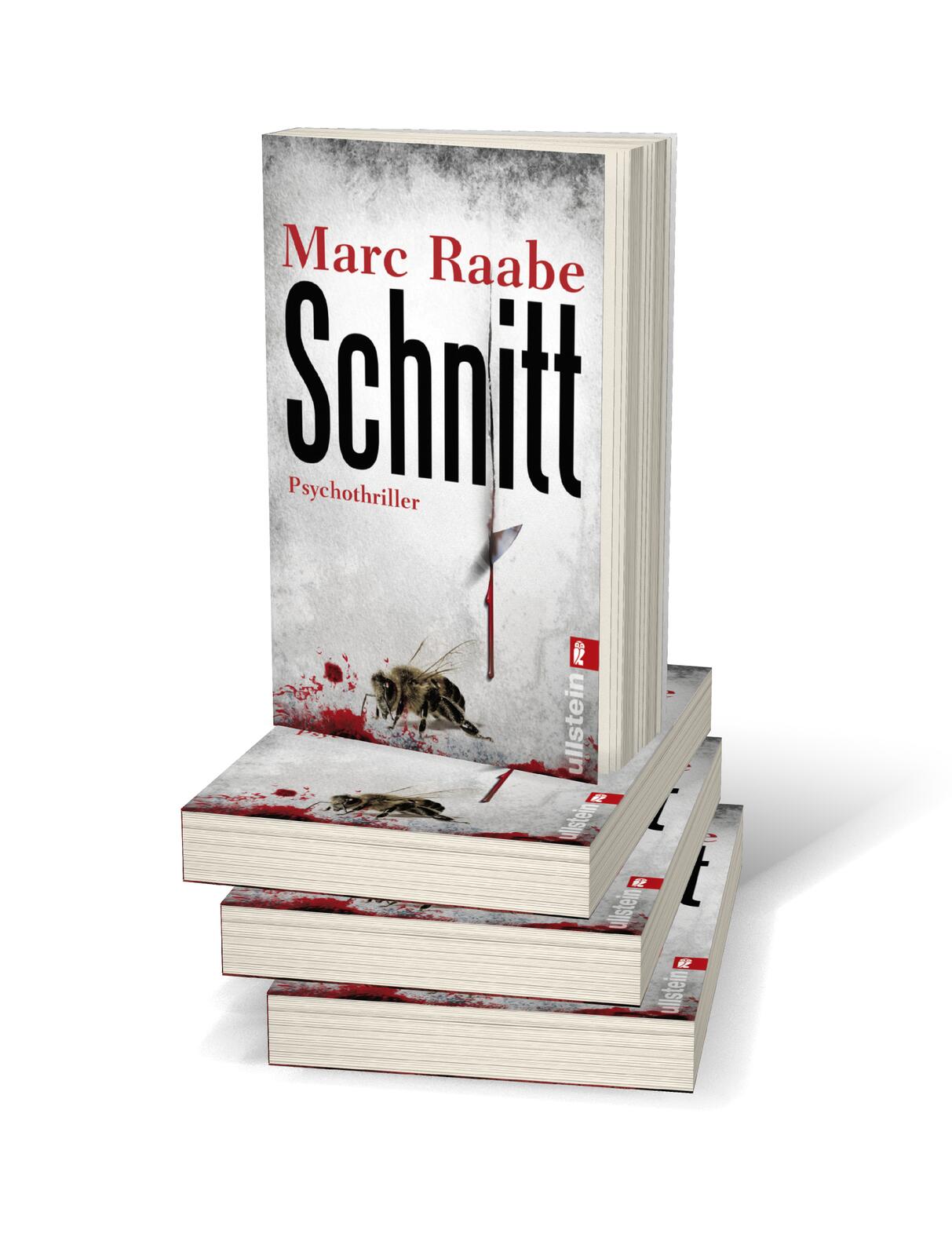 Beispielinhalt (Bild) Schnitt