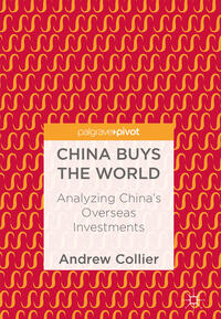 Vorderes Coverbild China Buys the World