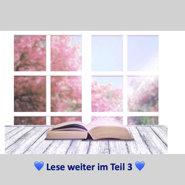 Rückseitencover Das Kirschblütenwunderbaumfenster