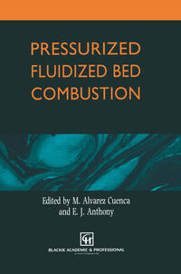 Vorderes Coverbild Pressurized Fluidized Bed Combustion