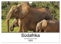 Vorderes Coverbild Südafrika - Eine beeindruckende Tierwelt (Wandkalender 2025 DIN A4 quer), CALVENDO Monatskalender