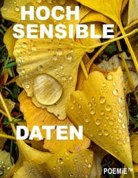 Vorderes Coverbild Hochsensible Daten