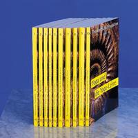 Vorderes Coverbild Theosophische Perspektiven - Gesamtausgabe -
