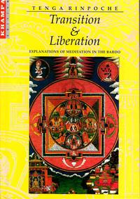 Vorderes Coverbild Transition & Liberation