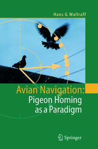 Vorderes Coverbild Avian Navigation: Pigeon Homing as a Paradigm