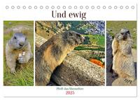 Vorderes Coverbild Und ewig pfeift das Murmeltier (Tischkalender 2025 DIN A5 quer), CALVENDO Monatskalender