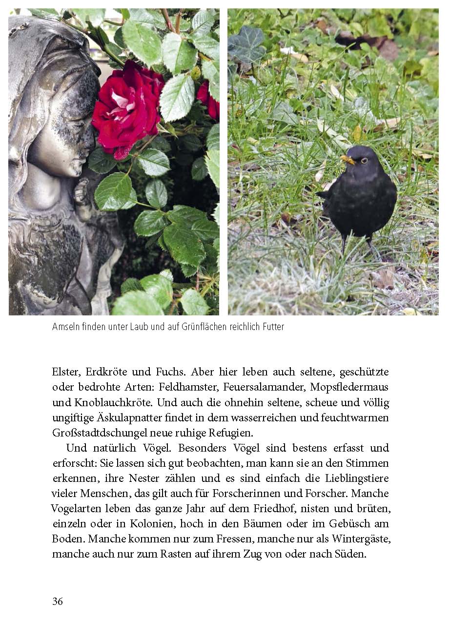 Beispielinhalt (Bild) Der Friedhof lebt!