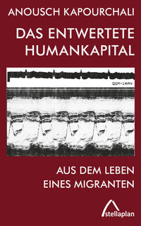 Vorderes Coverbild Das entwertete Humankapital