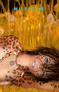 Vorderes Coverbild N.O.T.I.Z.E.N. - Felina - Fantasy Notizbuch - weiße Seiten mit Covermotiv in der Ecke