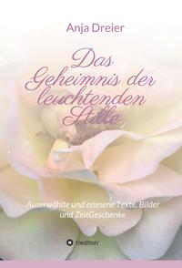 Vorderes Coverbild Das Geheimnis der leuchtenden Stille