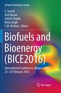 Vorderes Coverbild Biofuels and Bioenergy (BICE2016)