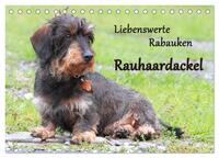 Vorderes Coverbild Liebenswerte Rabauken Rauhaardackel / CH-Version (Tischkalender 2026 DIN A5 quer), CALVENDO Monatskalender