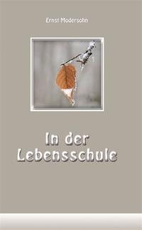 Vorderes Coverbild In der Lebensschule