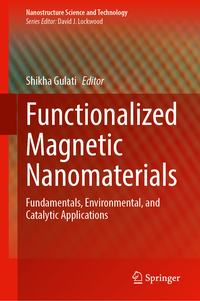 Vorderes Coverbild Functionalized Magnetic Nanomaterials