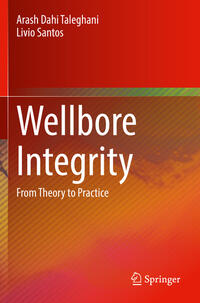 Vorderes Coverbild Wellbore Integrity