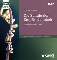 Vorderes Coverbild Die Schule der Empfindsamkeit