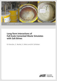 Vorderes Coverbild Long-Term Interactions of Full-Scale Cemented Waste Simulates with Salt Brines