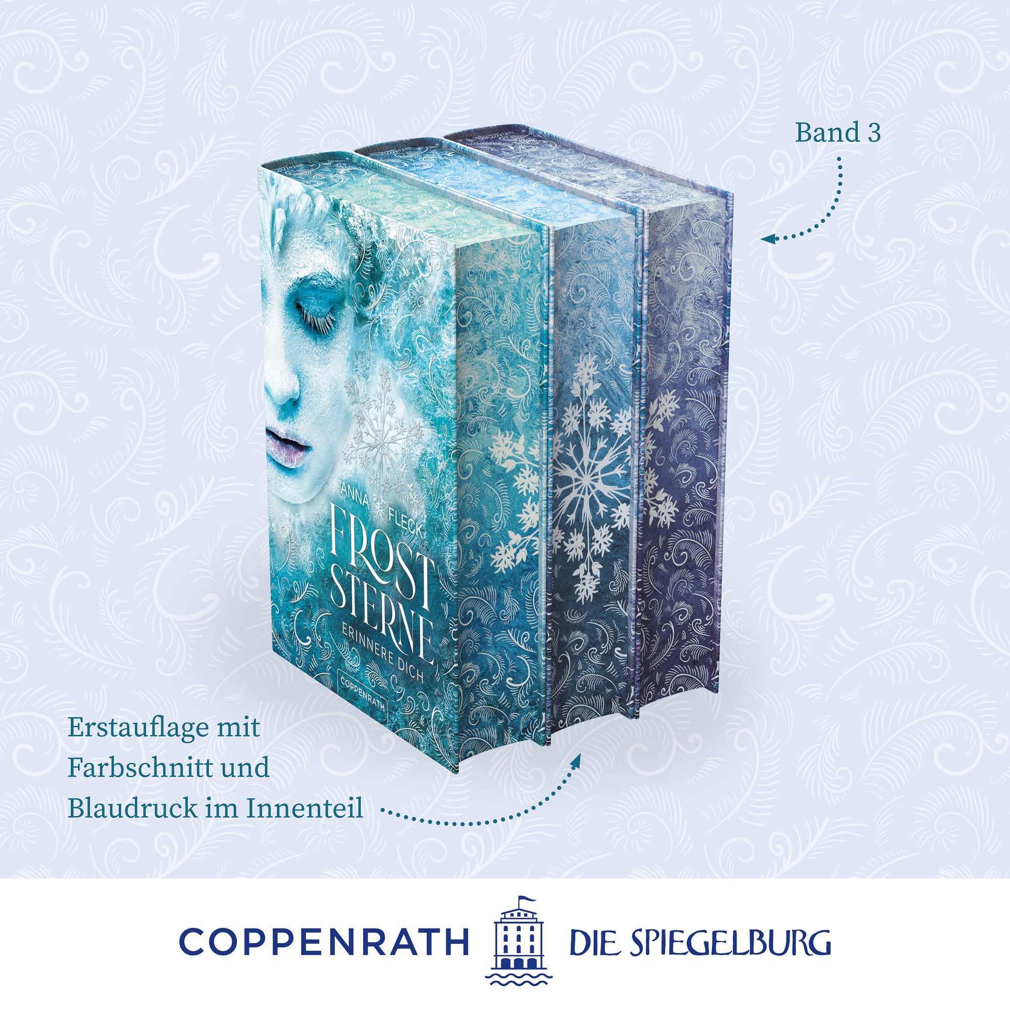 Beispielinhalt (Bild) Froststerne (Romantasy-Trilogie, Bd. 3)