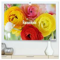 Vorderes Coverbild Ranunkeln (hochwertiger Premium Wandkalender 2025 DIN A2 quer), Kunstdruck in Hochglanz