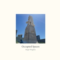 Vorderes Coverbild Occupied Spaces