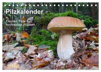 Vorderes Coverbild Pilzkalender (Tischkalender 2025 DIN A5 quer), CALVENDO Monatskalender