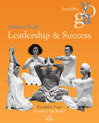 Vorderes Coverbild Leadership & Success