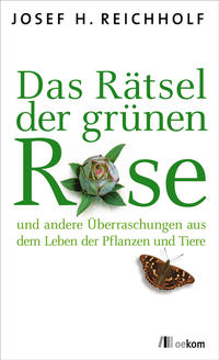 Vorderes Coverbild Das Rätsel der grünen Rose