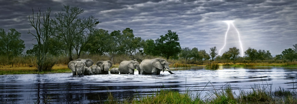 Beispielinhalt (Bild) Herd of Elephants Puzzle