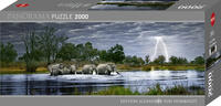 Vorderes Coverbild Herd of Elephants Puzzle