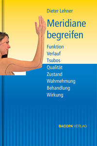 Vorderes Coverbild Meridiane begreifen.