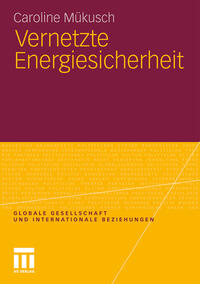 Vorderes Coverbild Vernetzte Energiesicherheit