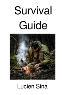 Vorderes Coverbild Survival Guide