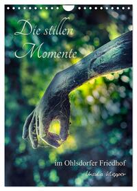 Vorderes Coverbild Die stillen Momente im Ohlsdorfer Friedhof (Wandkalender 2026 DIN A4 hoch), CALVENDO Monatskalender