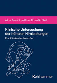 Vorderes Coverbild Klinische Untersuchung der höheren Hirnleistungen