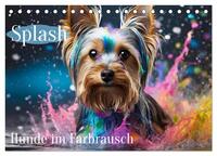 Vorderes Coverbild Splash - Hunde im Farbrausch (Tischkalender 2025 DIN A5 quer), CALVENDO Monatskalender