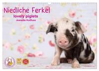 Vorderes Coverbild Niedliche Ferkel lovely piglets 2026 (Wandkalender 2026 DIN A3 quer), CALVENDO Monatskalender