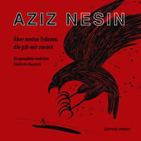 Vorderes Coverbild Aber meine Träume, die gib mir zurück (Türkisch–Deutsch)