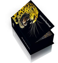 Vorderes Coverbild Postkartenbox Locarno Festival