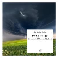Vorderes Coverbild Die Kleine Reihe Bd. 27: Potz Blitz