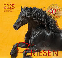 Vorderes Coverbild Friesen 2025