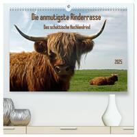 Vorderes Coverbild Die anmutigste Rinderrasse - Das schottische Hochlandrind (hochwertiger Premium Wandkalender 2025 DIN A2 quer), Kunstdruck in Hochglanz