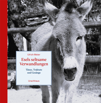 Vorderes Coverbild Esels seltsame Verwandlungen
