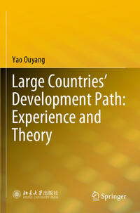 Vorderes Coverbild Large Countries’ Development Path: Experience and Theory