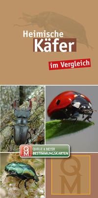 Vorderes Coverbild Heimische Käfer im Vergleich