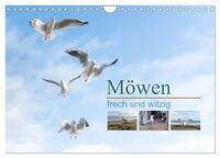 Vorderes Coverbild Möwen frech und witzig (Wandkalender 2025 DIN A4 quer), CALVENDO Monatskalender