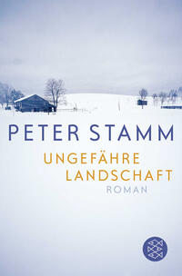 Vorderes Coverbild Ungefähre Landschaft