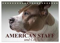 Vorderes Coverbild American Staff und Co. (Tischkalender 2025 DIN A5 quer), CALVENDO Monatskalender